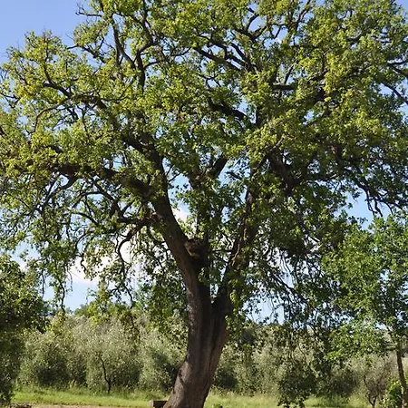 Il Borgo Di San Michele Papigno