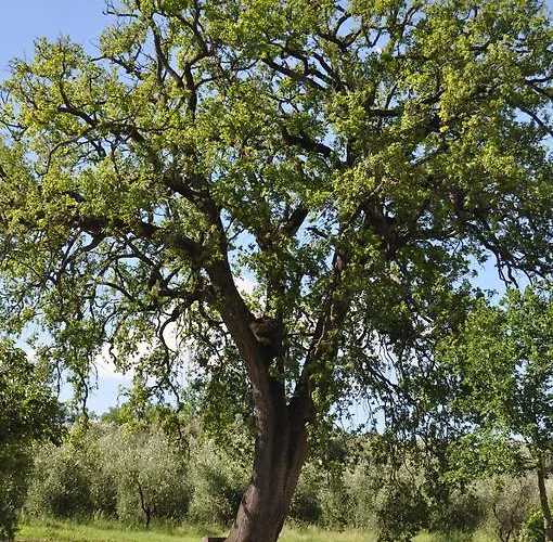 Il Borgo Di San Michele Papigno